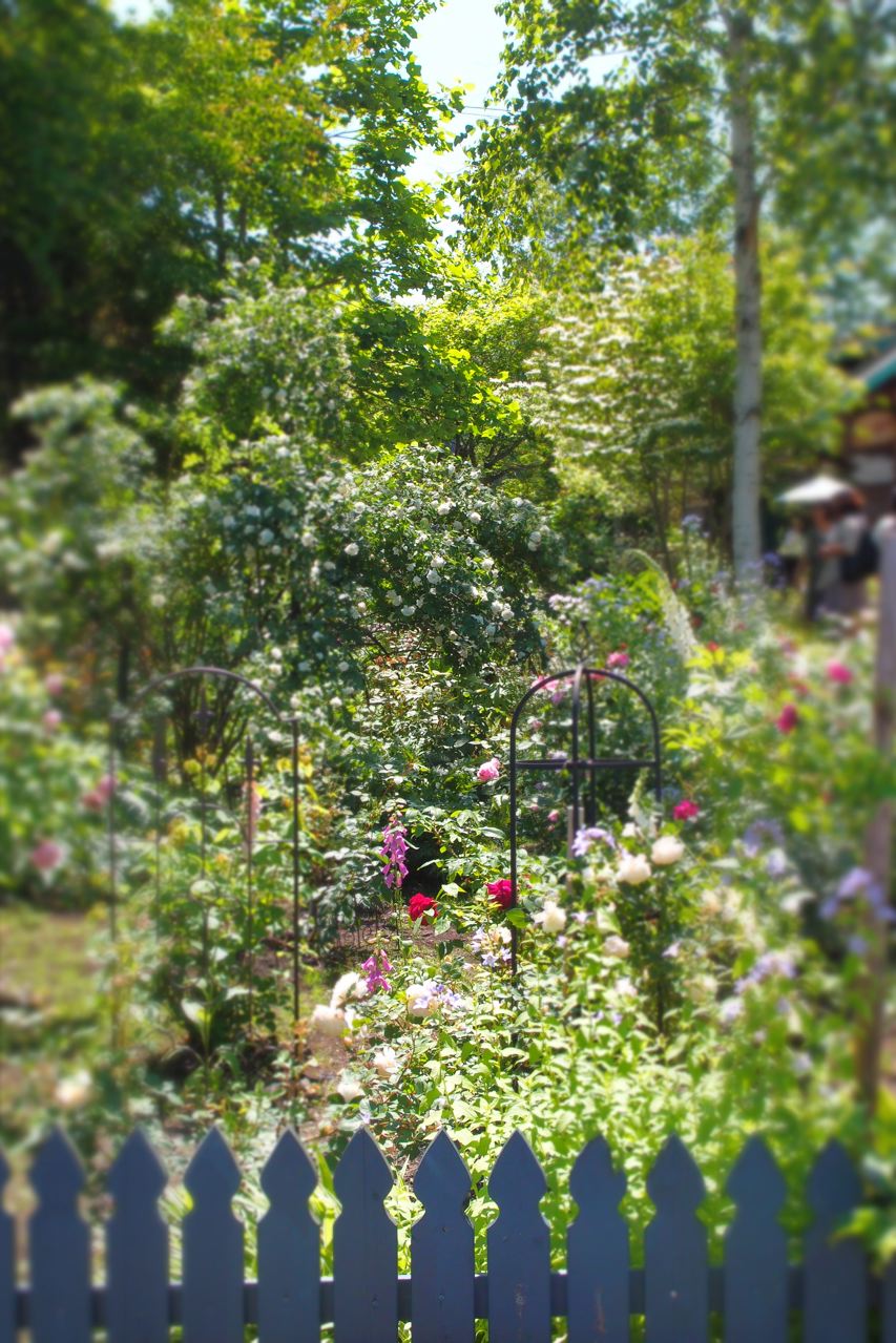 b0168859_14284672.jpg