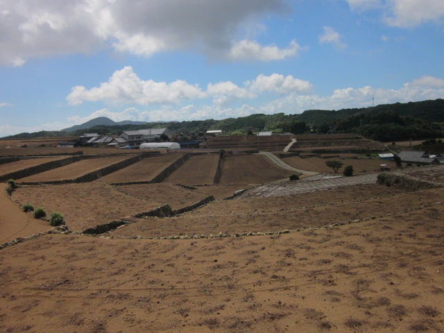 e0181260_214573.jpg