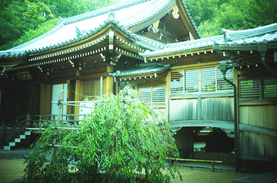 e0066861_1742664.jpg