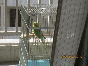 f0196665_23493411.jpg