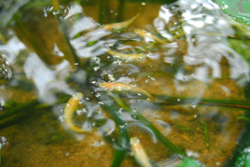 e0151566_2251056.jpg