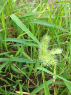 e0305175_23172266.jpg