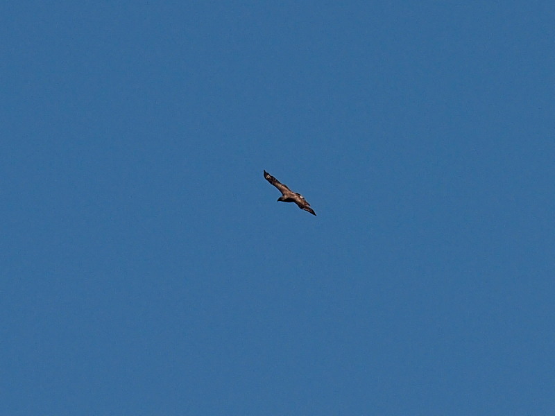 f0055184_13533710.jpg