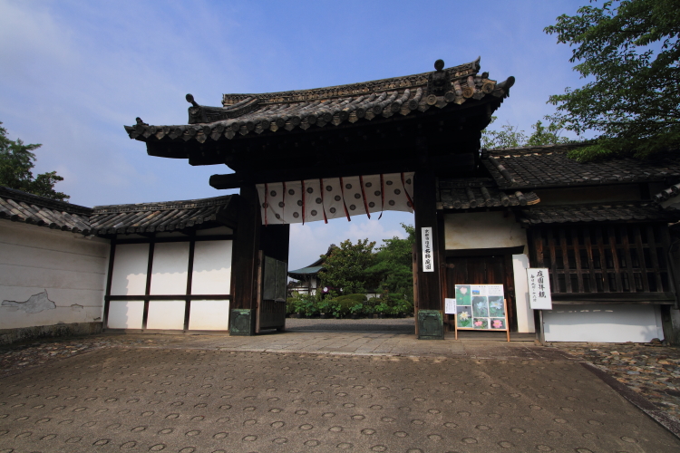 e0051888_5143184.jpg