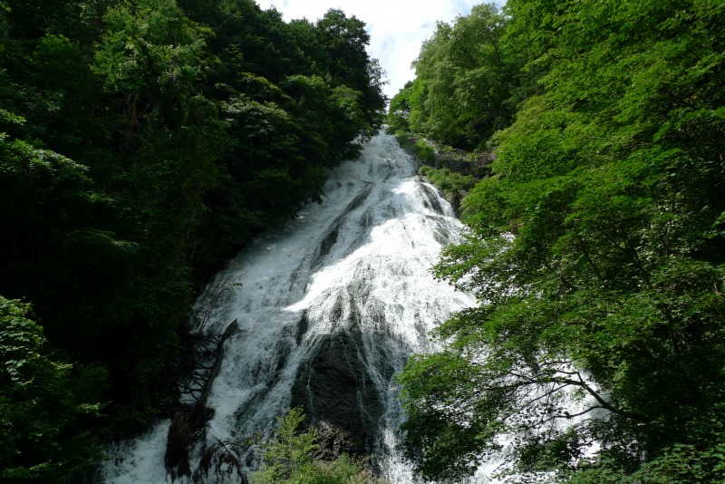 a0127090_1440861.jpg