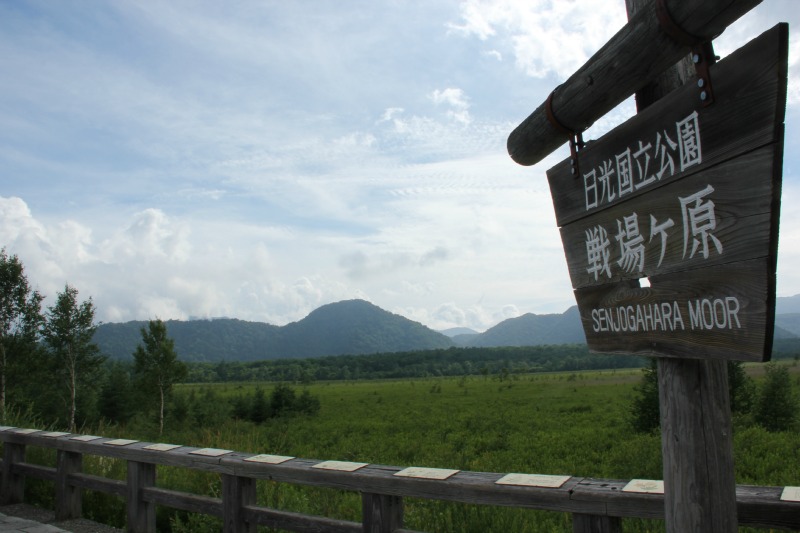 a0127090_14431357.jpg