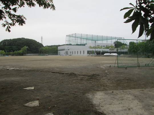 a0272591_1359874.jpg