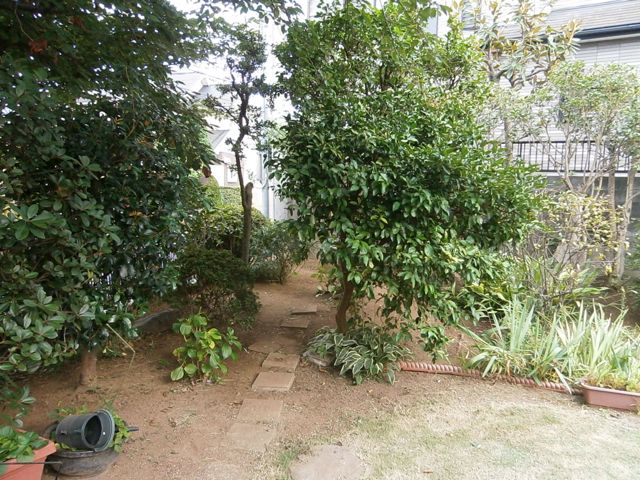 f0130894_2374375.jpg