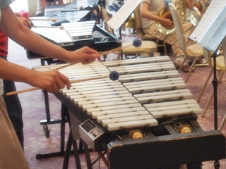 f0272200_039081.jpg