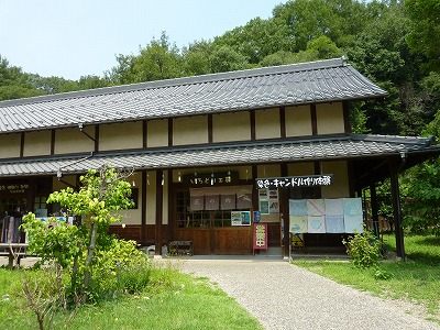 c0107402_020430.jpg