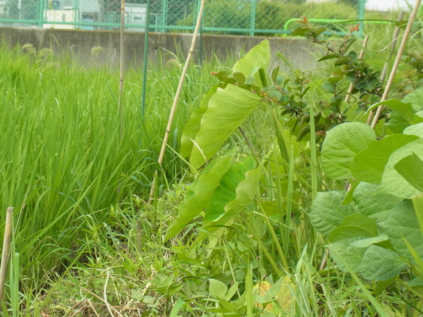 f0273304_2150535.jpg