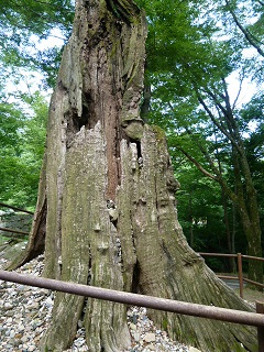 a0140305_2321455.jpg