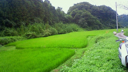 c0017505_1895434.jpg