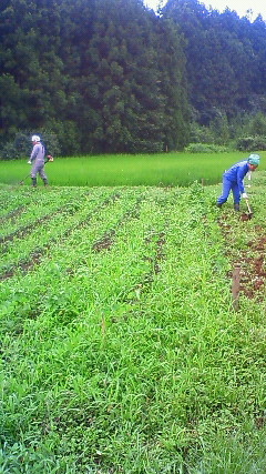 c0017505_1895475.jpg