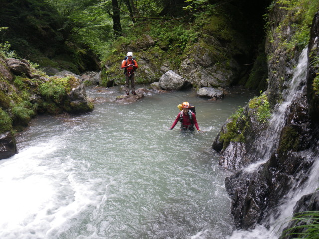 d0006512_847532.jpg