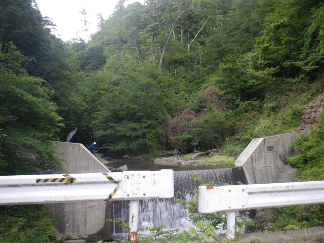 d0006512_8485758.jpg