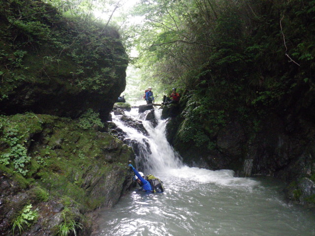 d0006512_848855.jpg