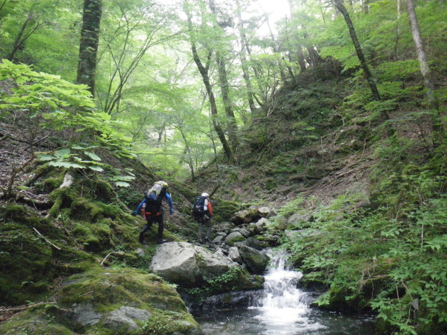 d0006512_852543.jpg