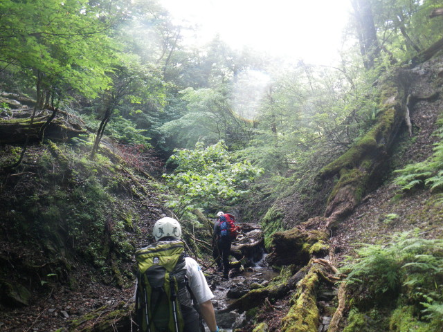 d0006512_8555023.jpg