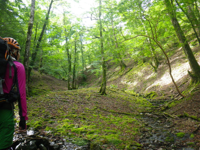 d0006512_8565189.jpg