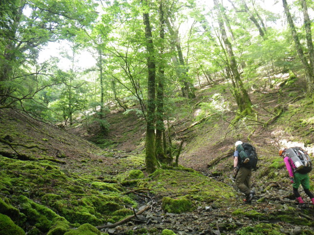d0006512_8573413.jpg