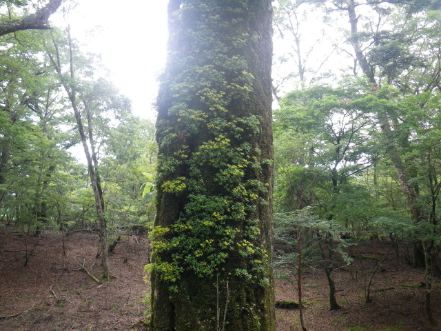 d0006512_905457.jpg