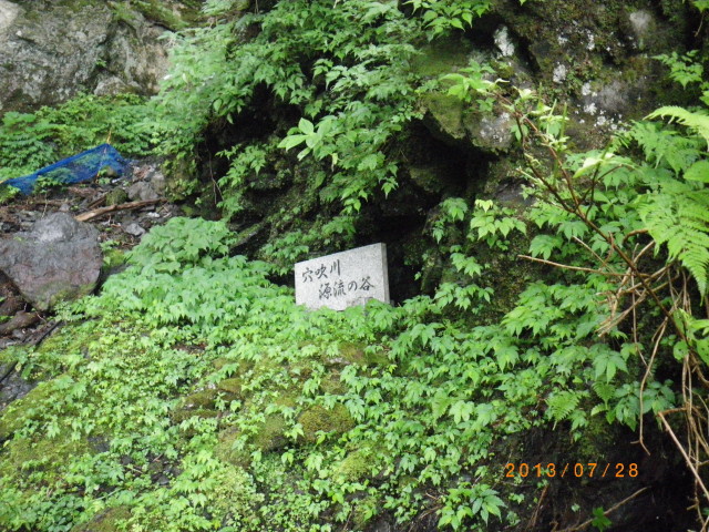 d0006512_9201918.jpg