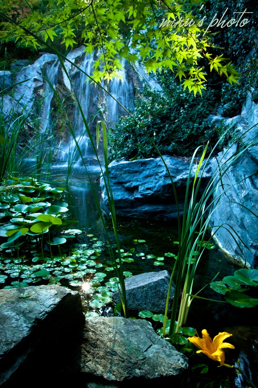 c0037519_16331497.jpg
