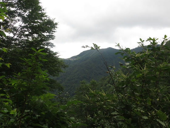 f0040525_2005482.jpg