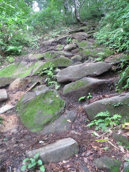 f0040525_201314.jpg