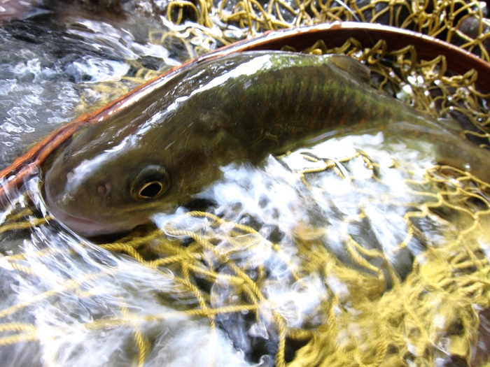 c0090530_1921424.jpg