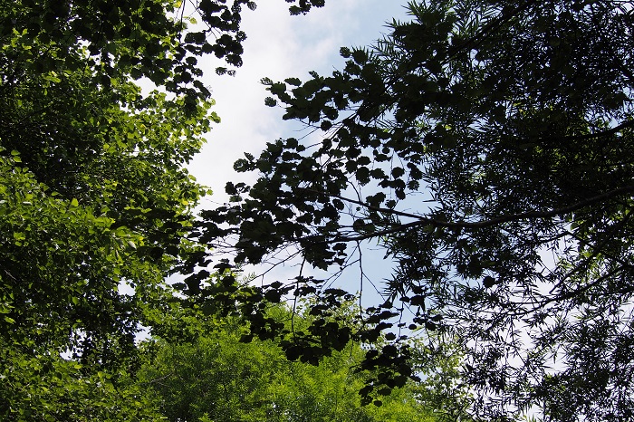 c0090530_197584.jpg