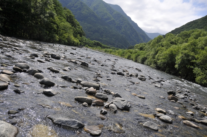 c0133133_17194337.jpg