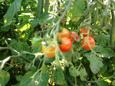 c0179935_10283489.jpg