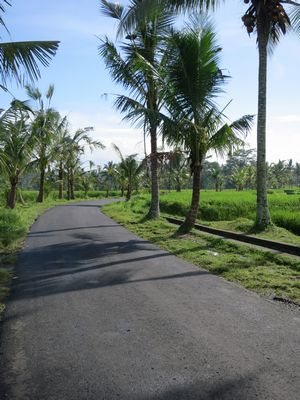 c0148238_13234575.jpg