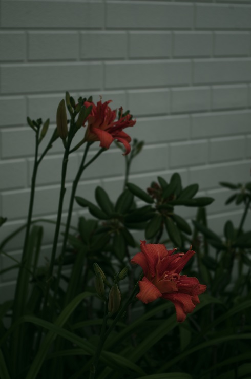 d0165741_16135517.jpg