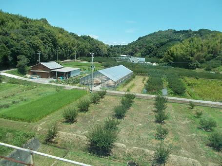 a0124543_16214619.jpg