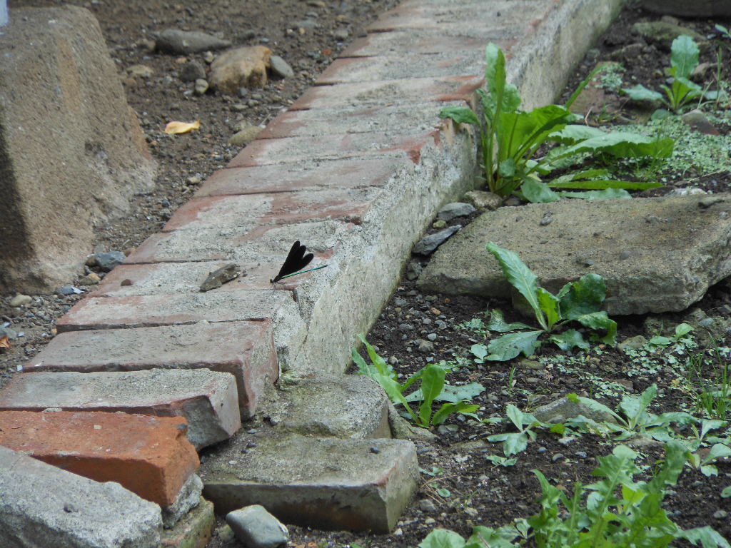c0122744_2038341.jpg