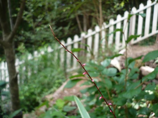 f0090444_22401126.jpg
