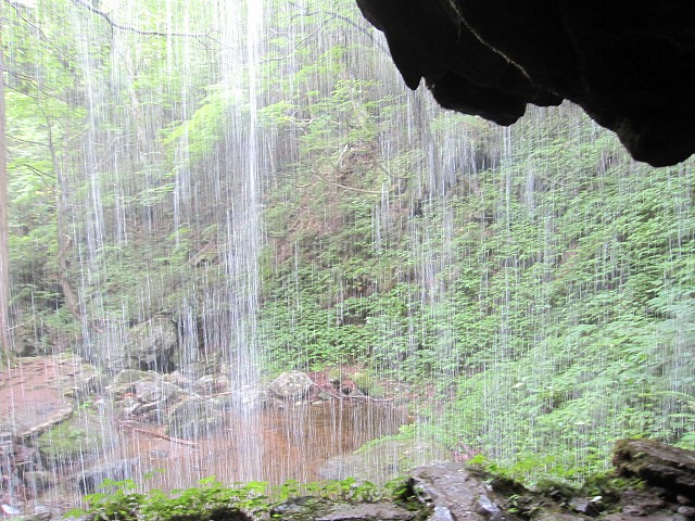 d0031853_7161017.jpg