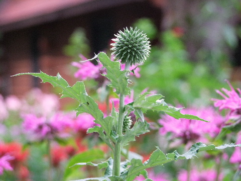 e0088260_14431662.jpg