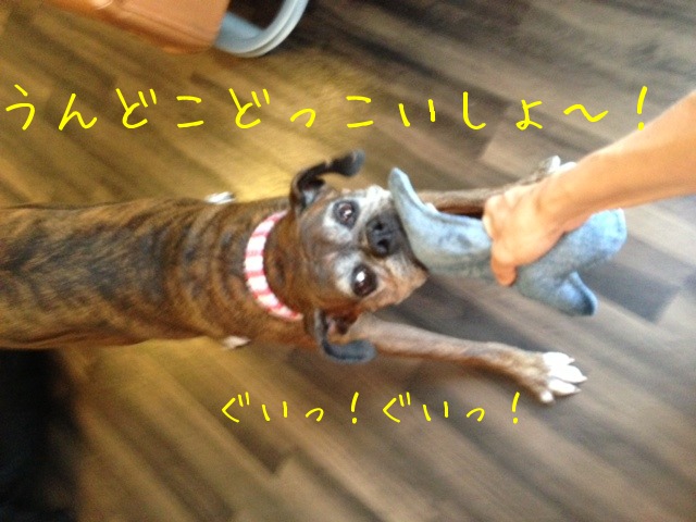 f0177261_14424566.jpg