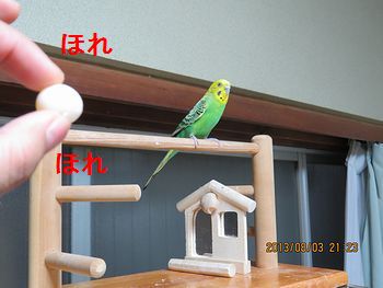 f0196665_0111819.jpg