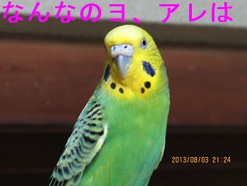 f0196665_0113255.jpg