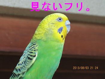 f0196665_0114850.jpg