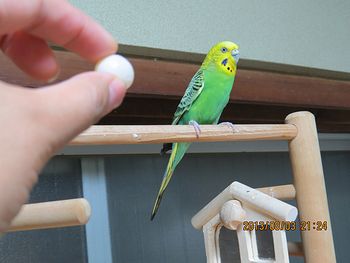f0196665_0121815.jpg