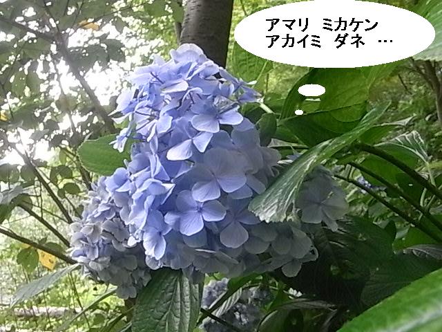 a0146070_5453444.jpg