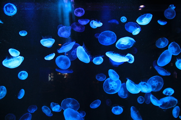 b0055171_2253314.jpg