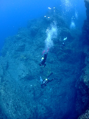 b0033573_1728137.jpg