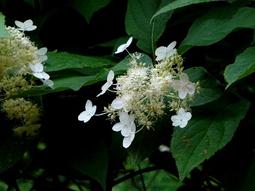 d0084473_2039041.jpg